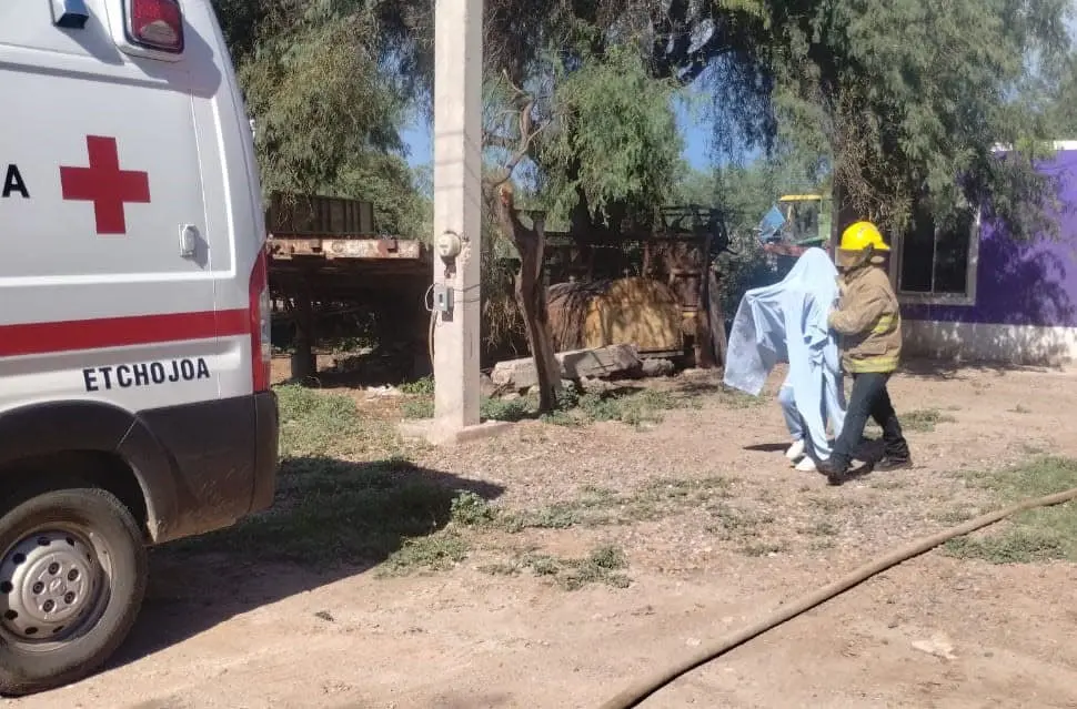 Abejas atacan a más de 50 personas en Etchojoa; estaban completamente agresivas