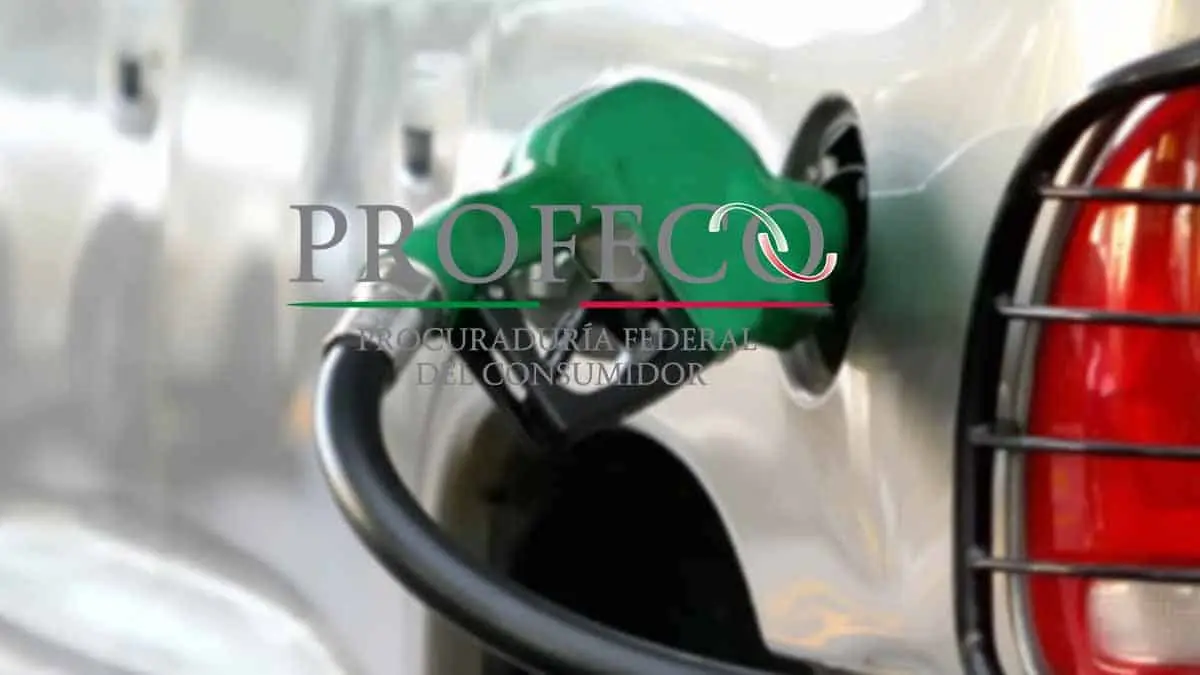 Precio de las gasolinas hoy 2 de septiembre: “Esta gasolinera se salió del redil”, indica la Profeco