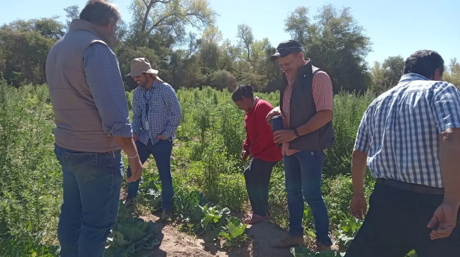 Familias de Cajeme conforman granja integral; producen hortalizas, peces y crían ganado