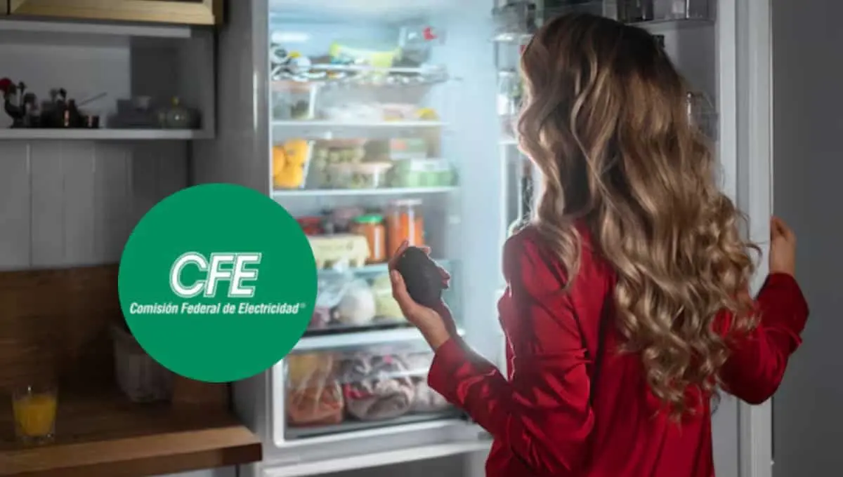 CFE: así puedes renovar tu refrigerador con ayuda de la comisión