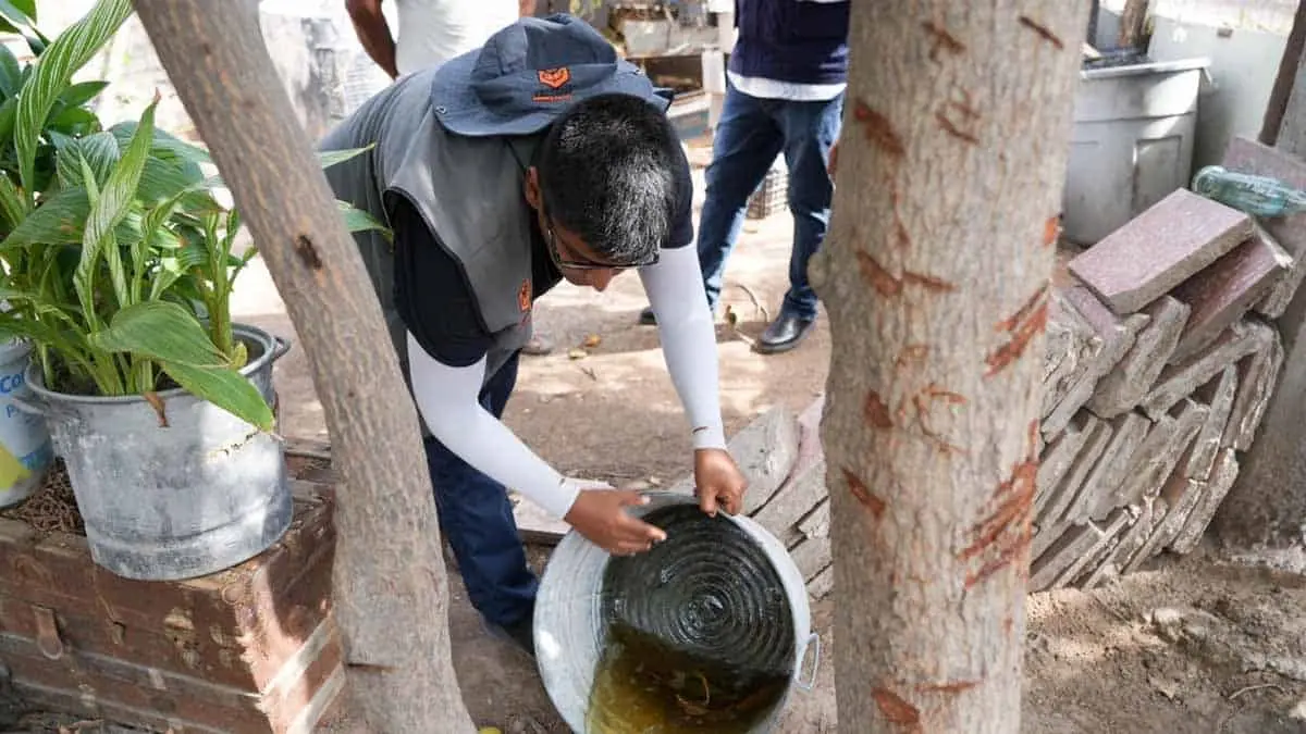 Lucha Navojoa contra el dengue