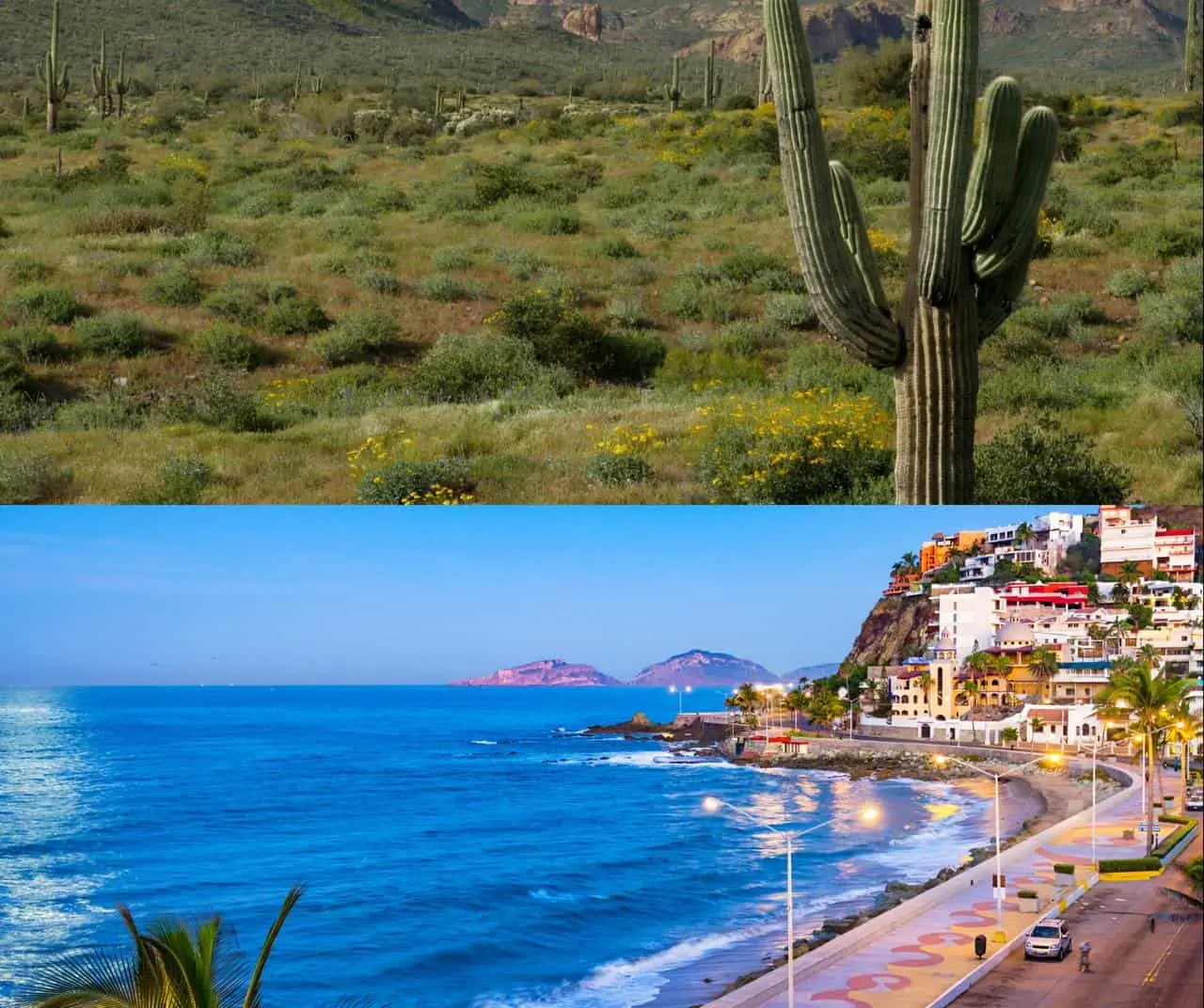 Sonora y Sinaloa destacan no solo por riqueza cultural y gastronómica sino por también por su constante crecimiento económico