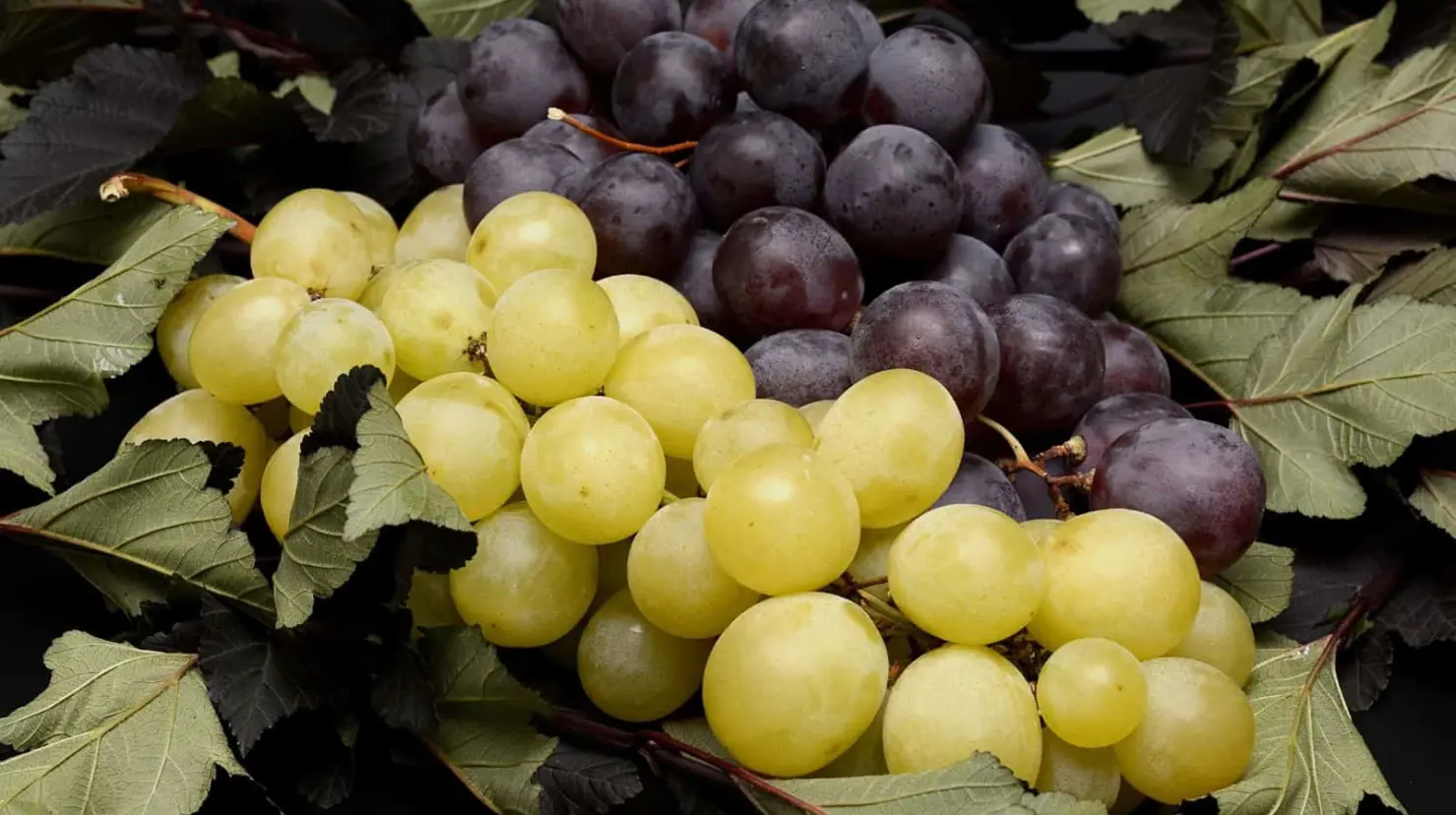 Esta es la fruta de temporada que llena de color el mes de septiembre y mejora tu salud