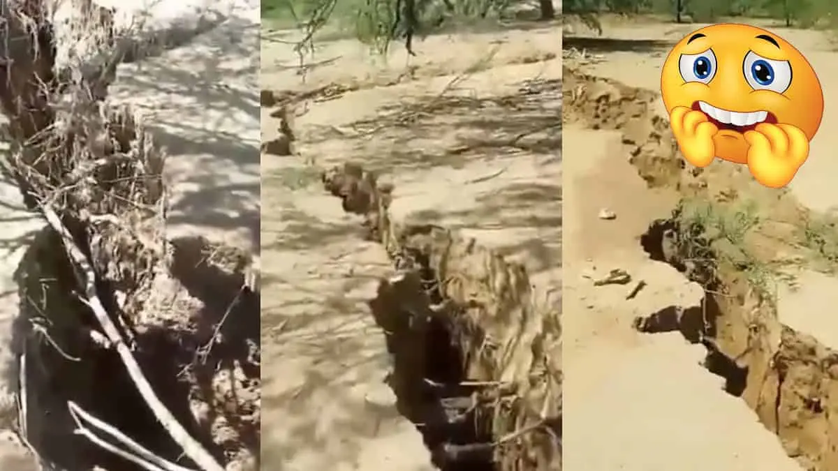 ¿Qué son las enormes grietas que aparecieron en Sonora y que “han tragado” animales?