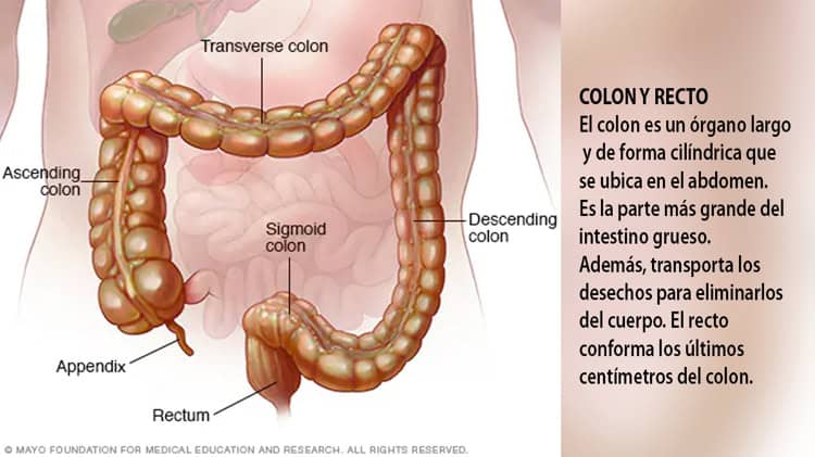 imagen-cuerpo imagen-cuerpo