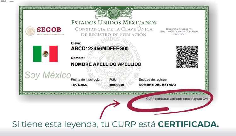 imagen-cuerpo imagen-cuerpo