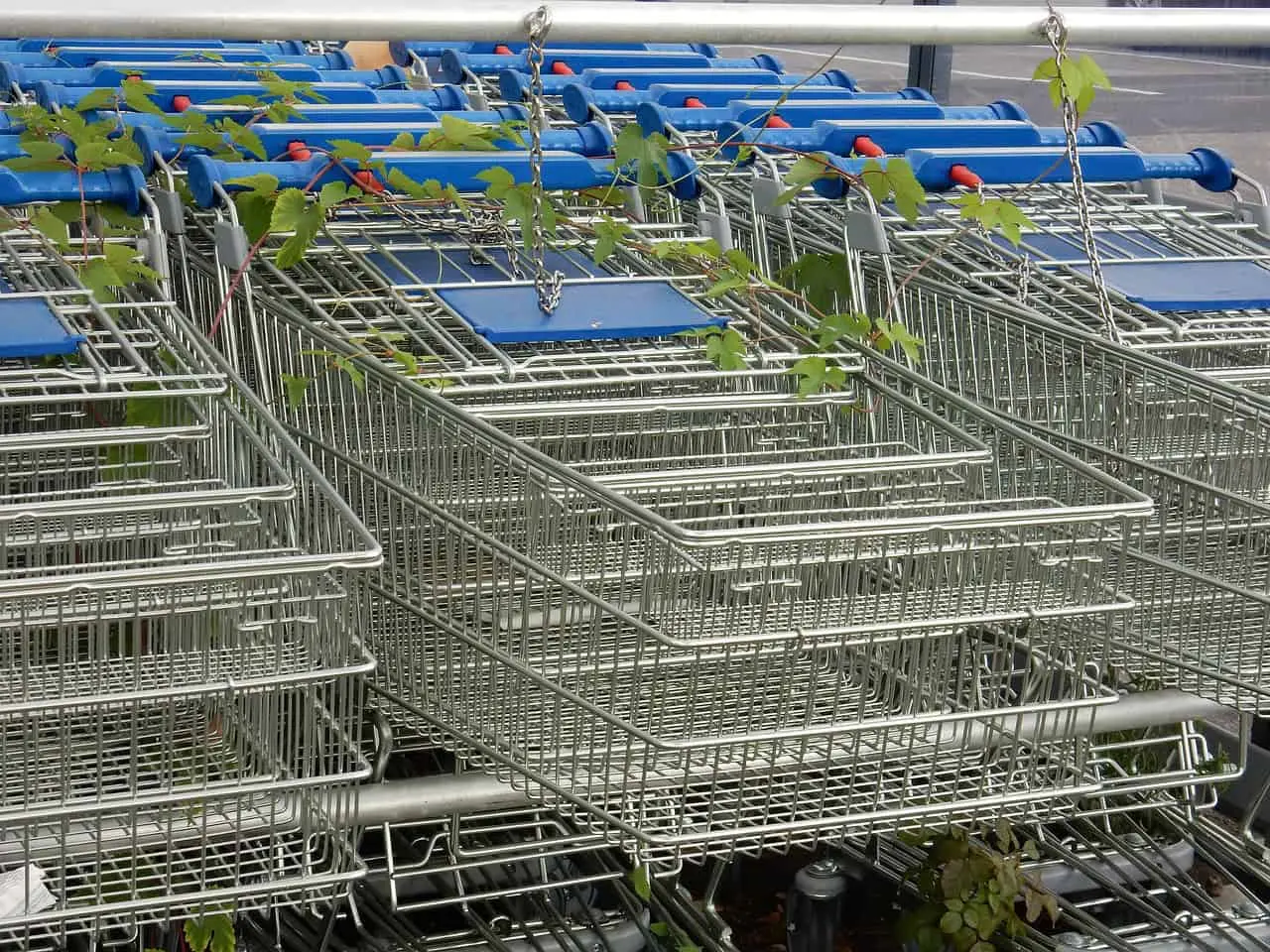 Cambio en Sams Club. Fuente: Pixabay/jhenning