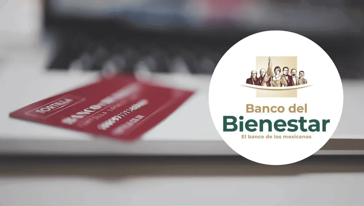 La pensión del Bienestar 2024. Fuente: Pixabay/StockSnap, Instagram