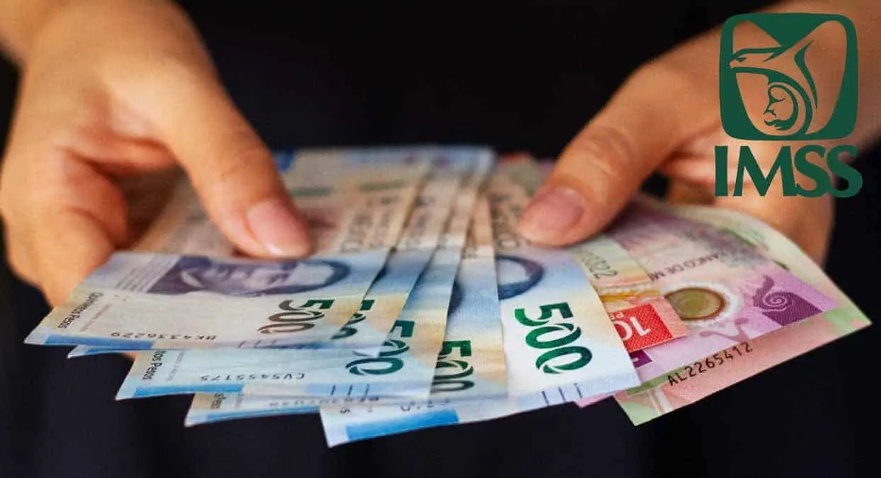 IMSS: ¿Qué sucede si se está registrado con un salario menor?