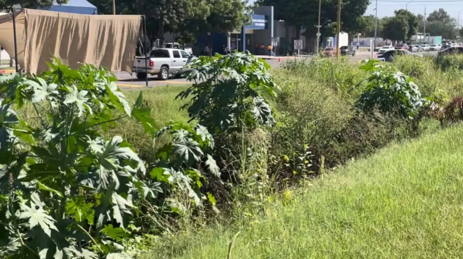 Familias de Cajeme piden que se limpie canal de la calle 300