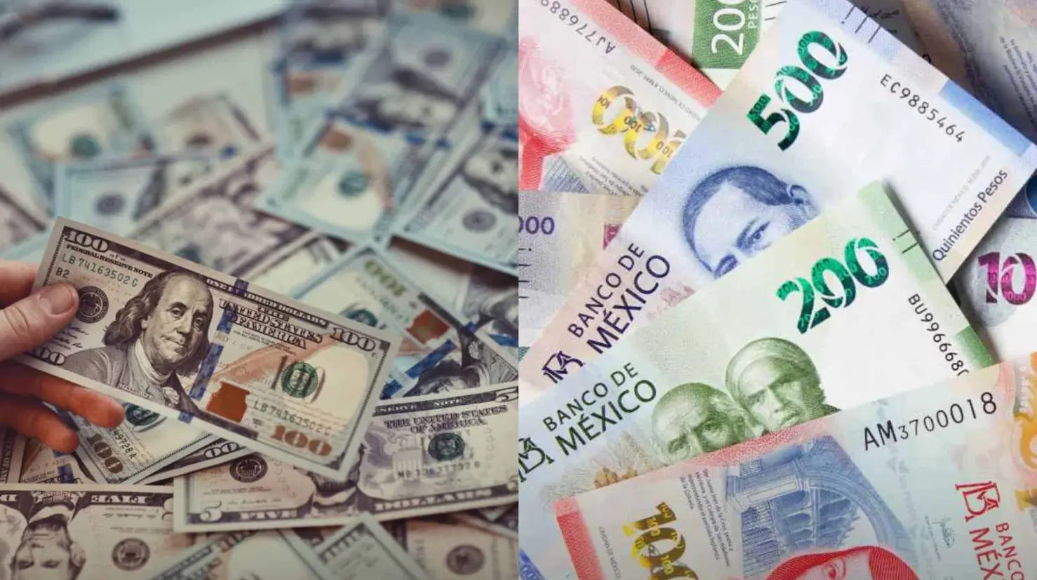 Precio del dólar hoy martes 24 de septiembre: El peso se mantiene estable