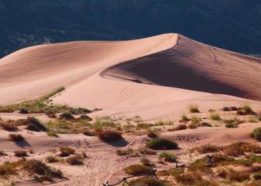 Cuáles son los desiertos más bonitos en México según la inteligencia artificial