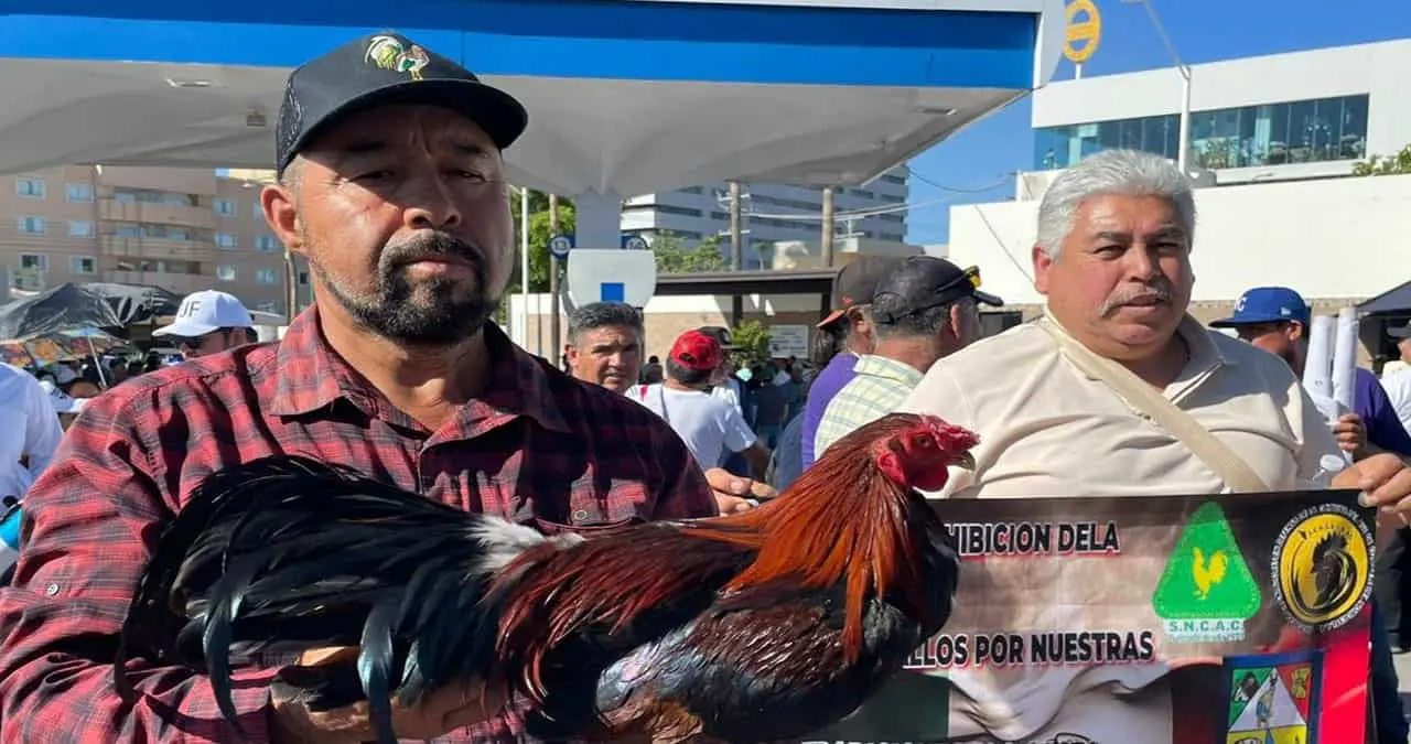 Harán modificaciones a Ley de Protección Animal en Sonora