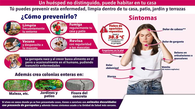 imagen-cuerpo imagen-cuerpo