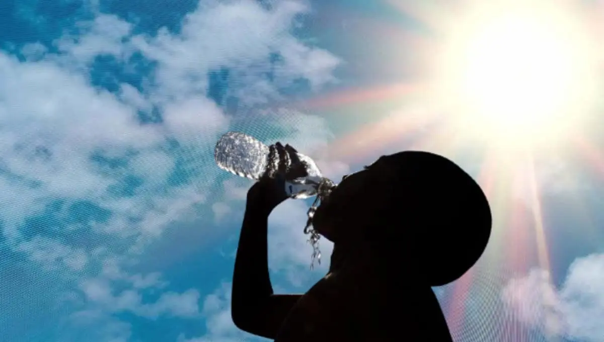 Sonora entre los estados con más muertes por calor, revela estudio