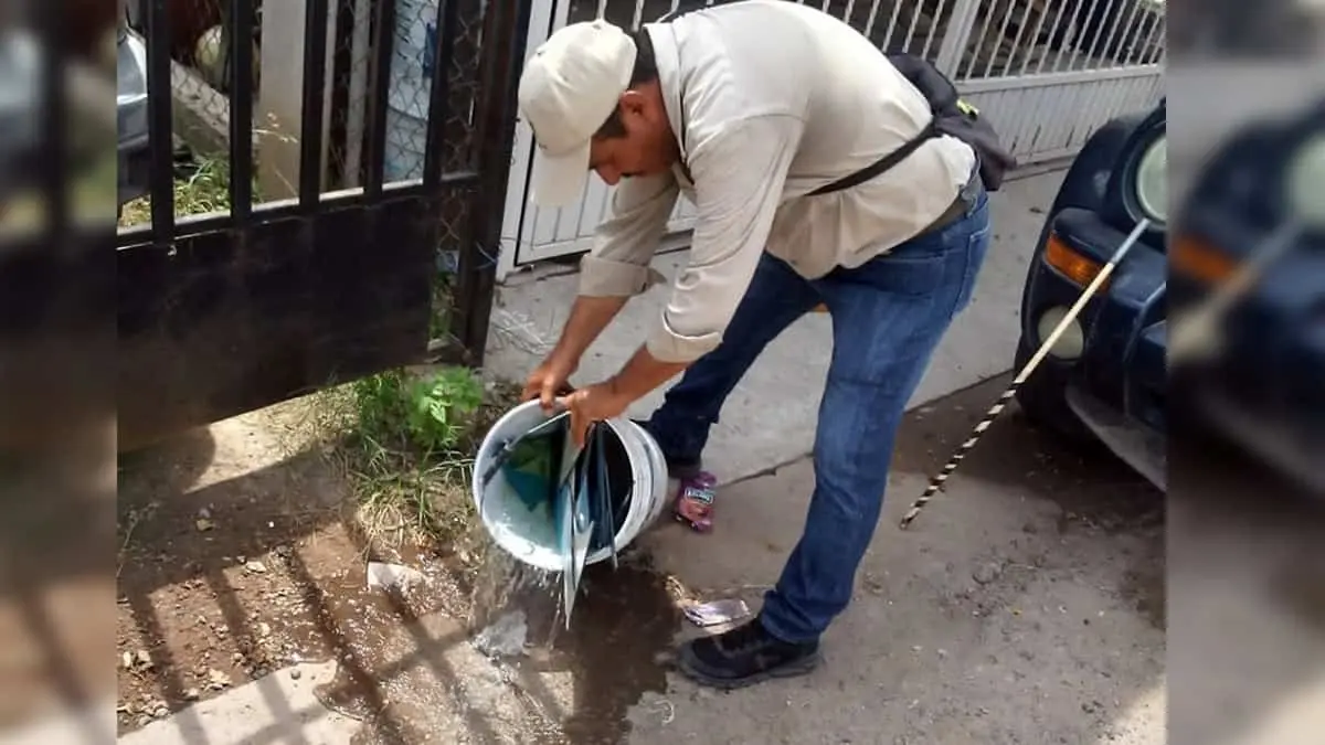 Refuerzan lucha contra el dengue