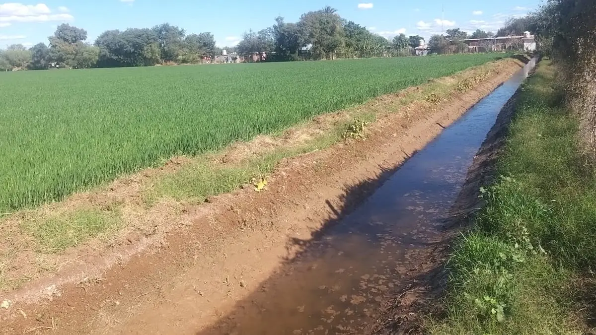 Quedarían zonas altas sin sembrarse: DRRM