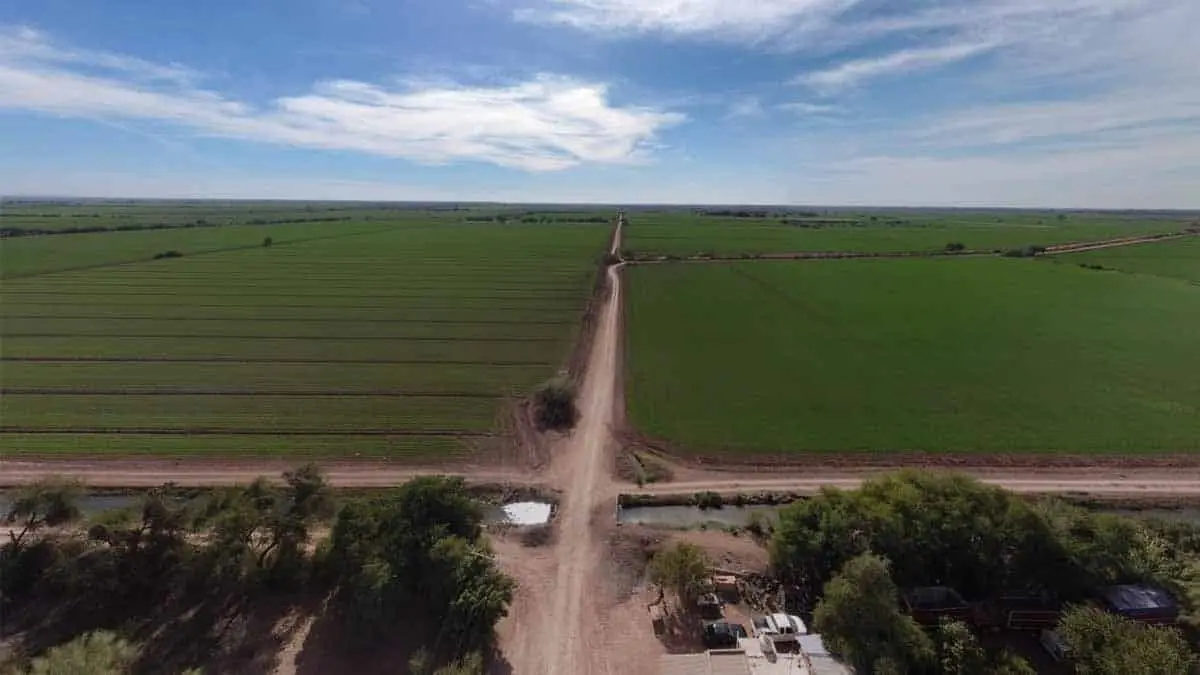 Distrito de Riego del Río Mayo confía en el nuevo gobierno de Claudia Sheinbaum
