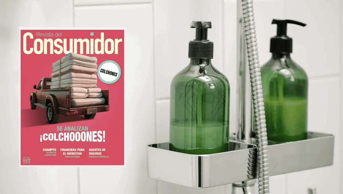 Estudio de calidad Profeco. Fuente: Pexels/Sarah Chai, Revista del CONSUMIDOR