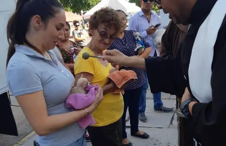 Bendicen a las mascotas por el Día de San Francisco de Asís
