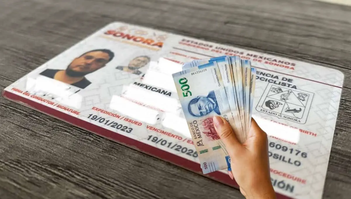 Licencia de conducir en Sonora; estas personas pueden obtener un 50% y un 90% de descuento