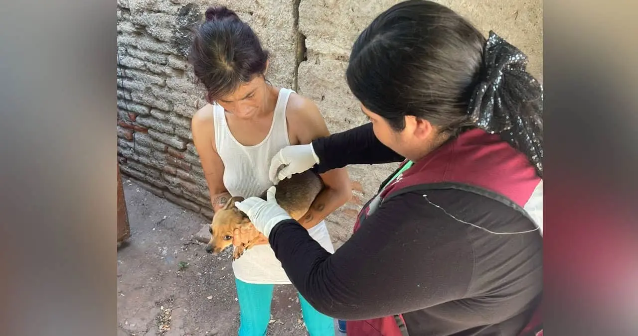 Van contra la rickettsia en Cajeme