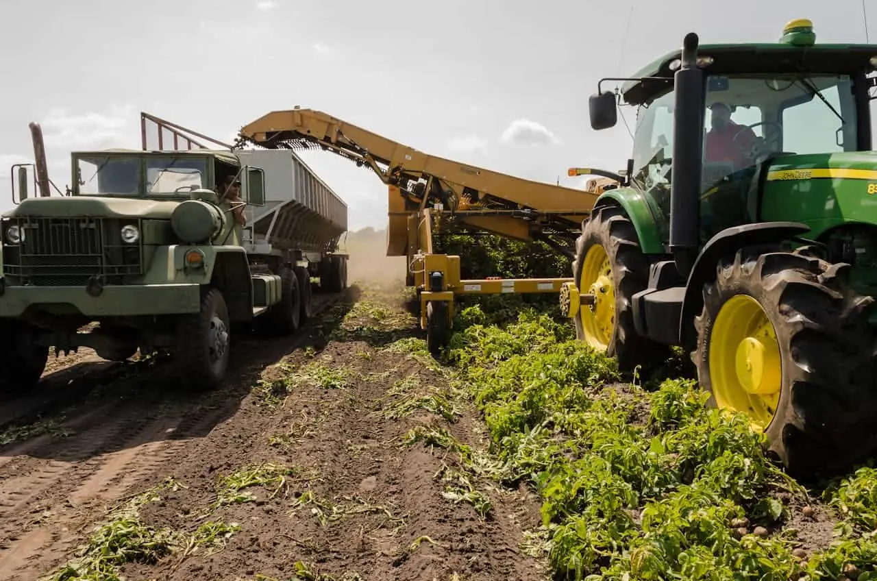 Documento falso agricultura. Fuente: Pexels/Mark Stebnicki