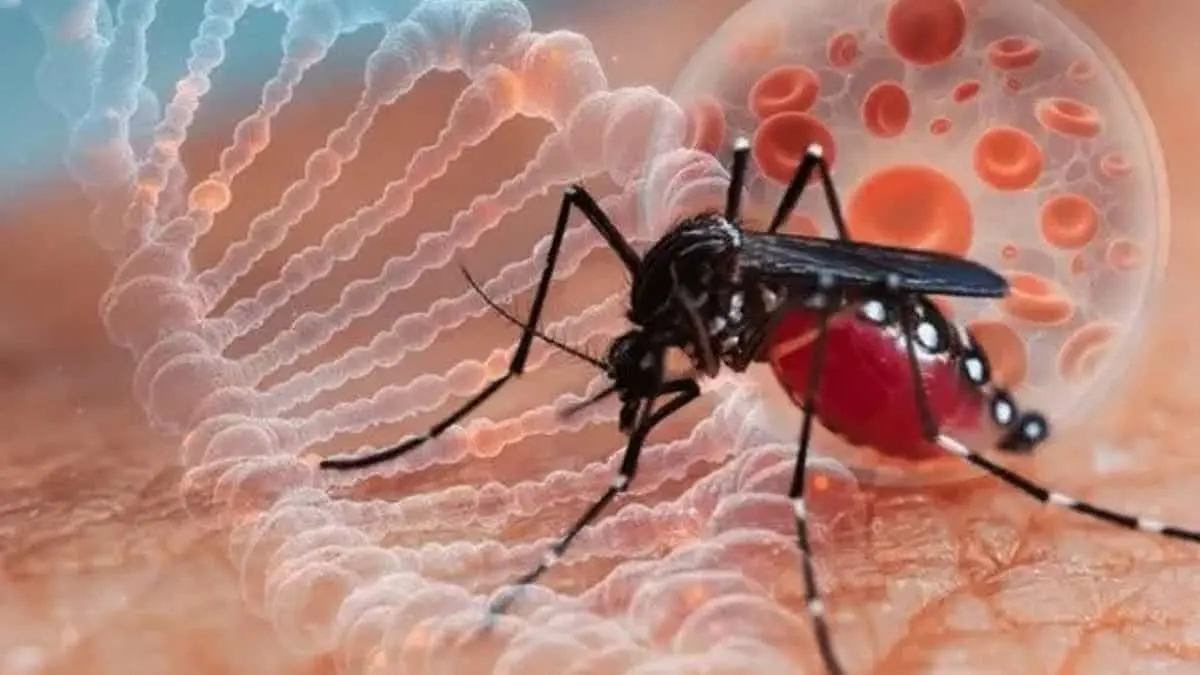 México reporta más de mil muertes por probable dengue
