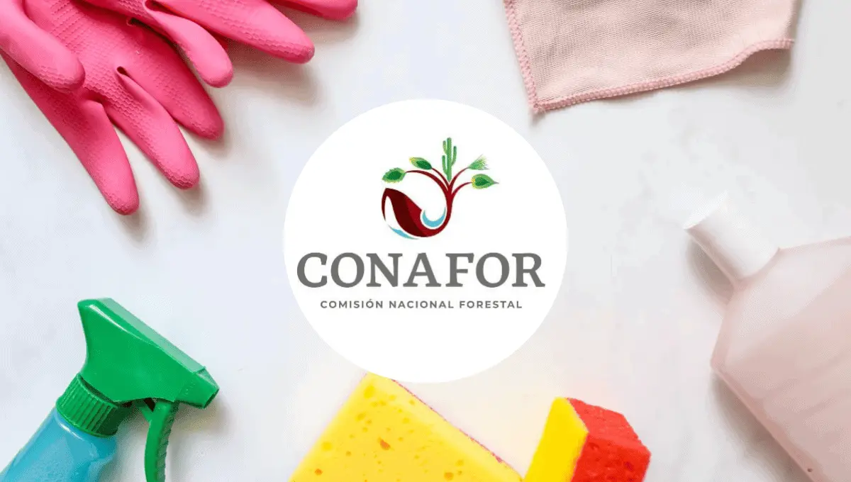 Tareas del hogar. Fuente: Pexels/ Polina Tankilevitch, Instagram @conafor