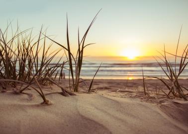 ¿Cuáles son las playas más sucias en México? Esto dicen los expertos