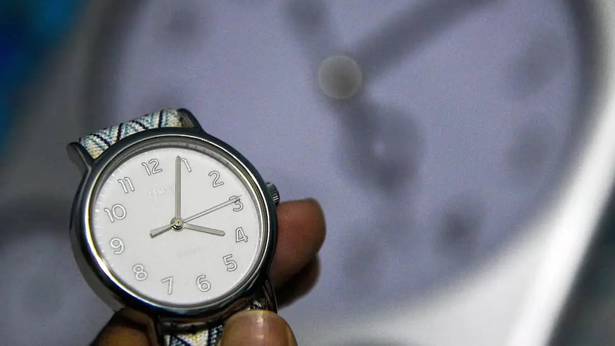Cambio de horario en Tamaulipas: ¿qué ciudades deben modificar sus relojes en noviembre 2024?