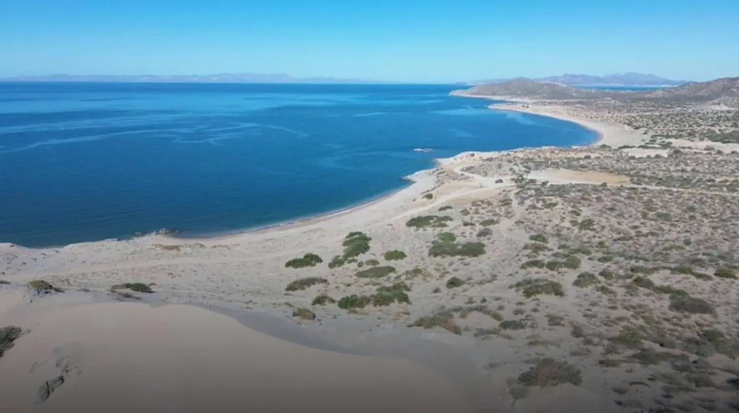 Esta playa de Sonora es única por sus imponentes dunas y un majestuoso bosque de sahuaros