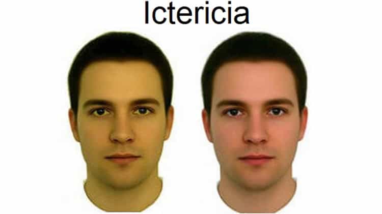 imagen-cuerpo imagen-cuerpo