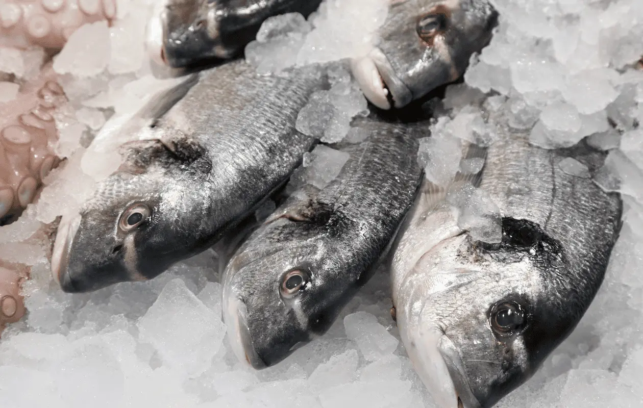 Casi nadie los compra pero estos pescados son una maravilla, según chef