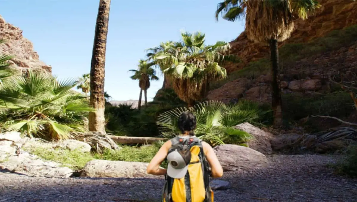 ¿Te apasiona el ecoturismo? Este lugar en Sonora es perfecto para estas actividades