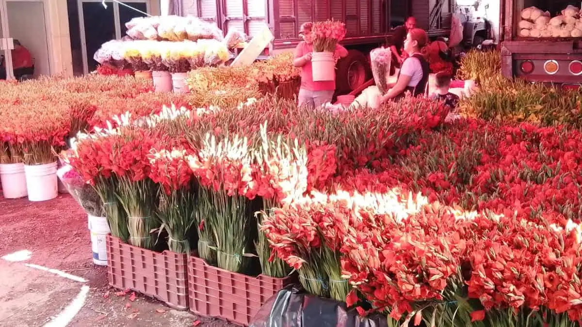 En Cajeme, se prepara el Mercadito Unión para llegada de las flores