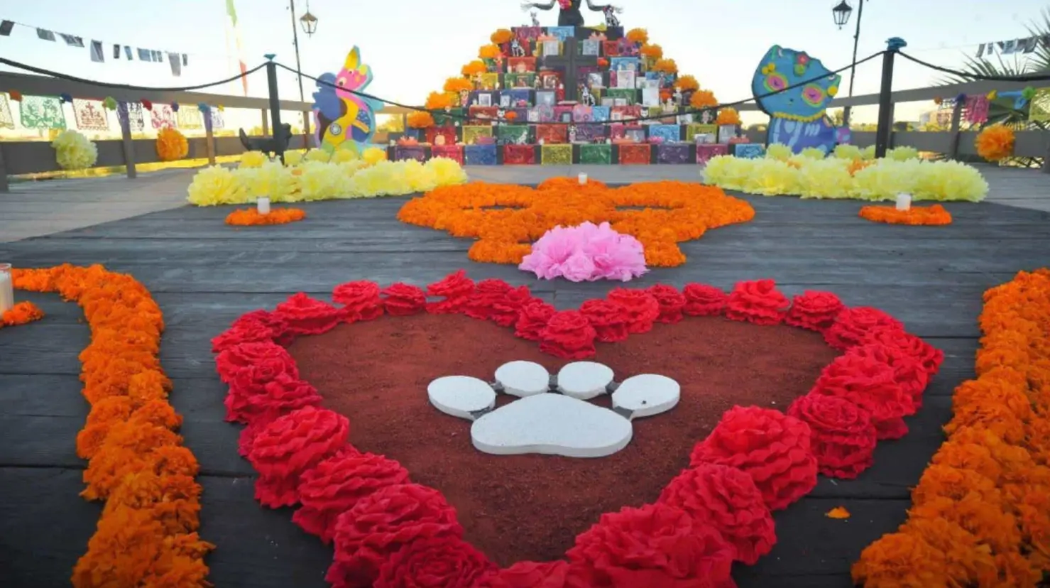 Día de Muertos 2024: Este es el día que llegan las mascotas, ¿Qué lleva su ofrenda?