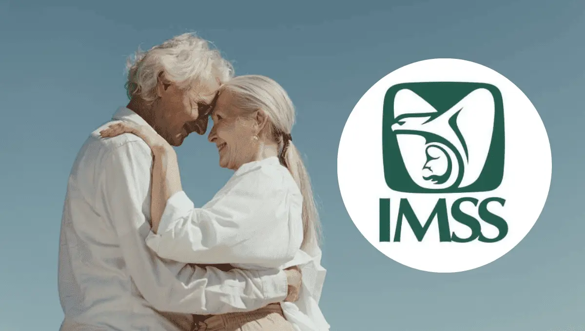 Pensión IMSS. Fuente: Pexels/cottonbro studio, Instagram