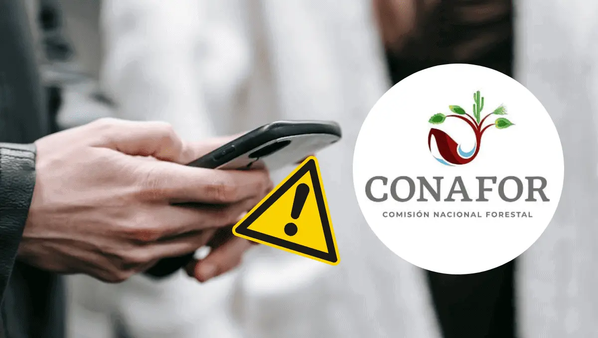 Fraude digital. Fuente: Pexels/Katerina Holmes, Instagram