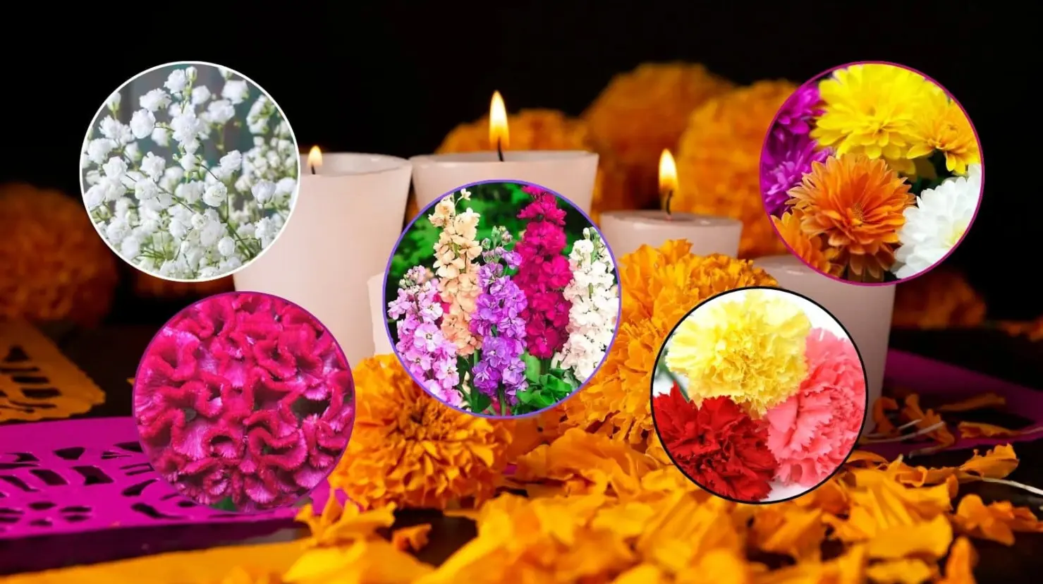 Día de Muertos no solo es cempasúchil; estas son otras flores que puedes colocar en el altar
