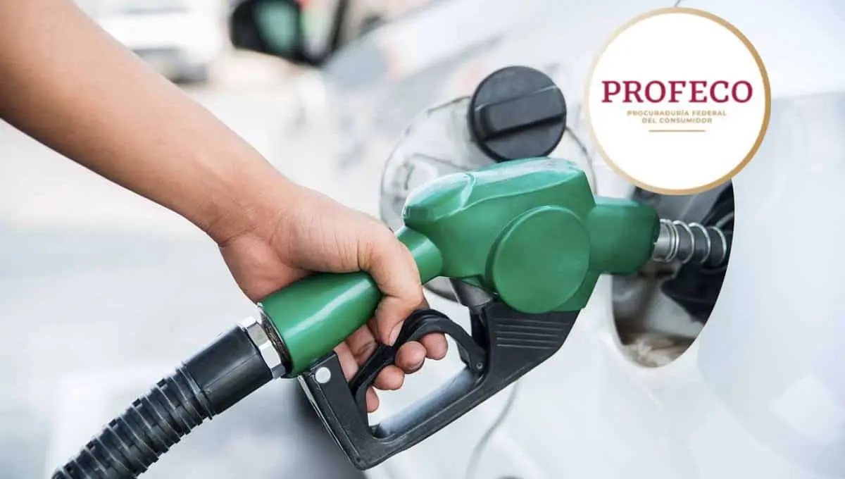Profeco revela las razones por las que la gasolina no dura, aunque la surtan completa