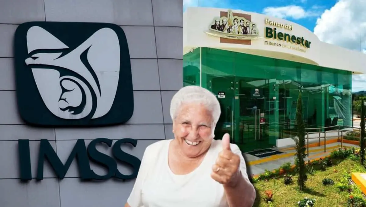 Pensión IMSS y Bienestar: ¿puedes obtener ambas? esto se sabe