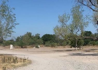 No llega agua de la Mocúzari al Río Mayo