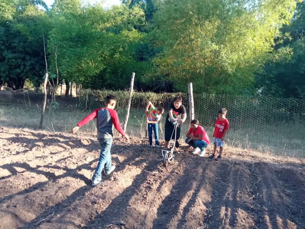 Familias de escasos recursos de Cajeme cultivarán sus propios alimentos