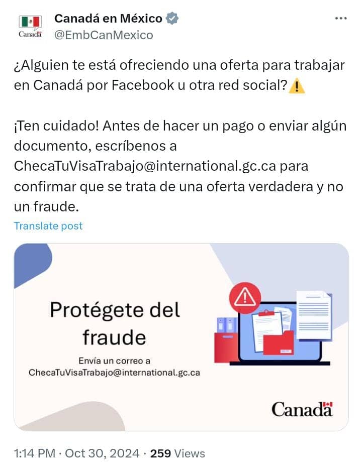 imagen-cuerpo imagen-cuerpo