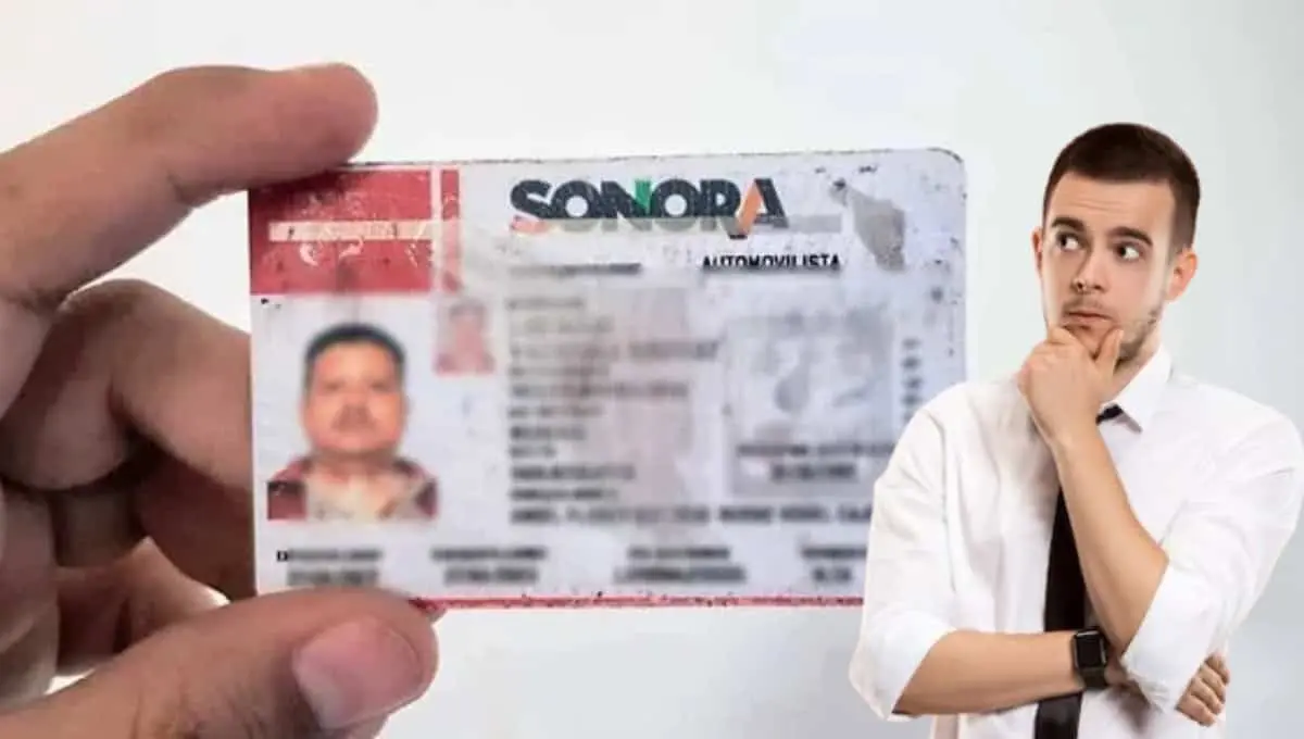 Conoce los requisitos para obtener tu licencia de conducir en Sonora. Foto: Original