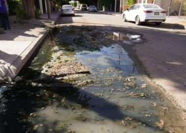 Cajeme: Vecinos de Cortinas no toleran vivir entre aguas negras