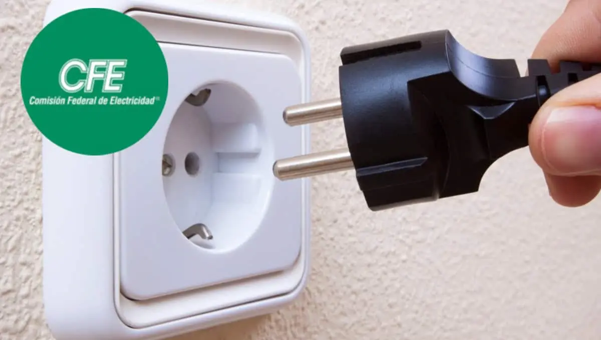 CFE dice cuáles son los aparatos que debes desconectar para ahorrar energía. Foto: Original