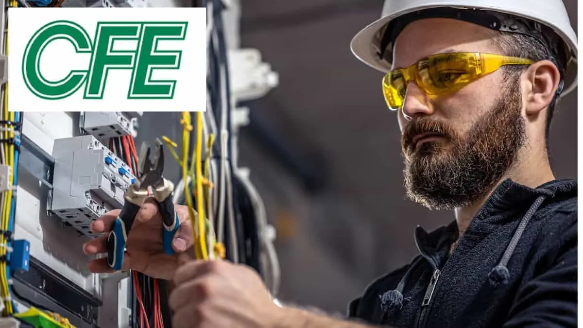 En estos casos no pueden interrumpir la electricidad Fuentes: Freepik.es