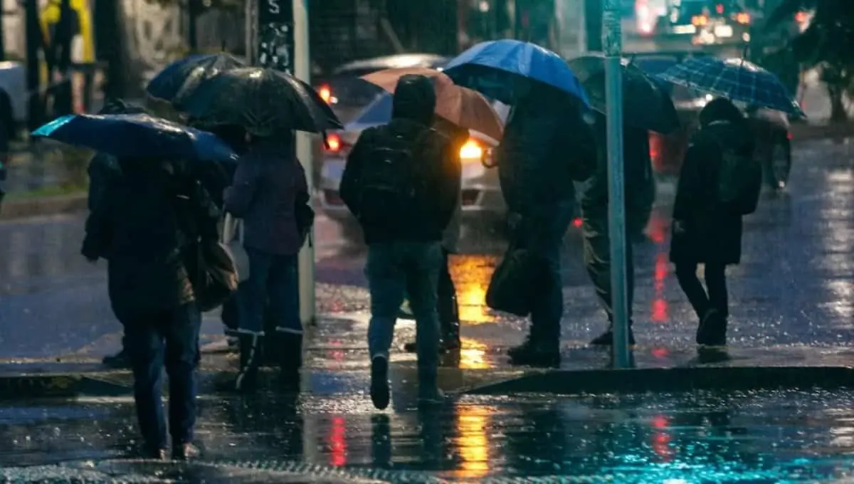 Conoce la fecha en la que terminará la temporada de lluvias 2024. Foto: Gobierno de México